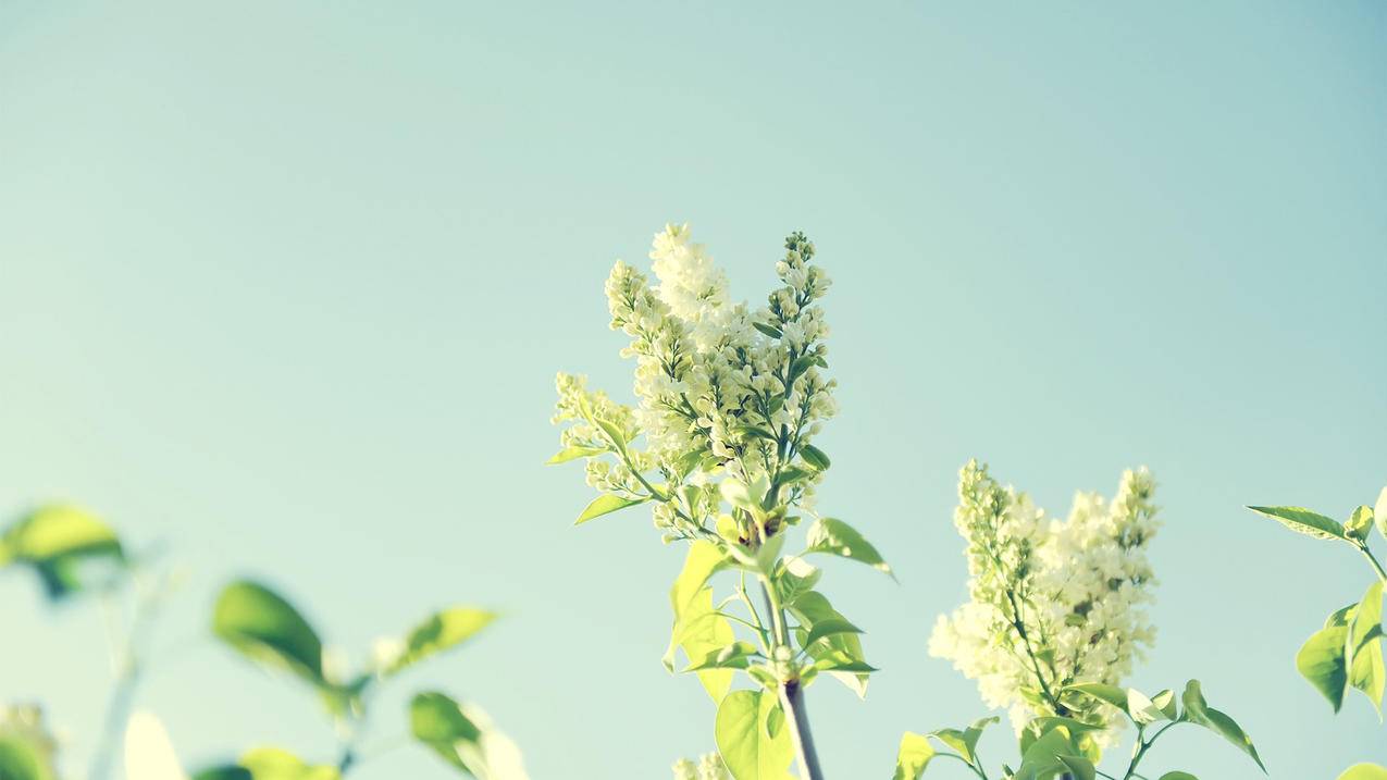 涨粉丝1元1000个赞,抖音点赞正规平台,qq说说浏览量在线刷网站,快手人气自助平台业务下单真人